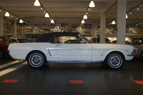 Used 1966 FORD MUSTANG